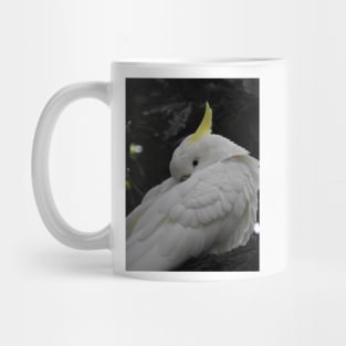 Sulphur Crested Cockatoo Mug